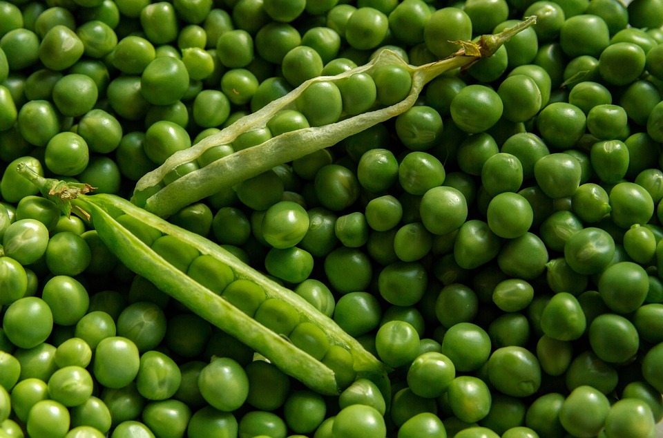 Fresh Peas